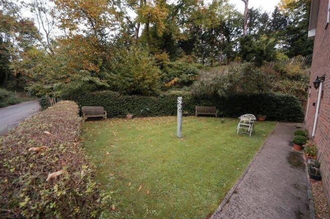 Photo 6