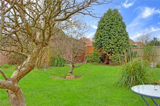 Garden at Back