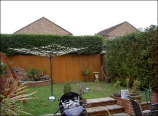 Back garden