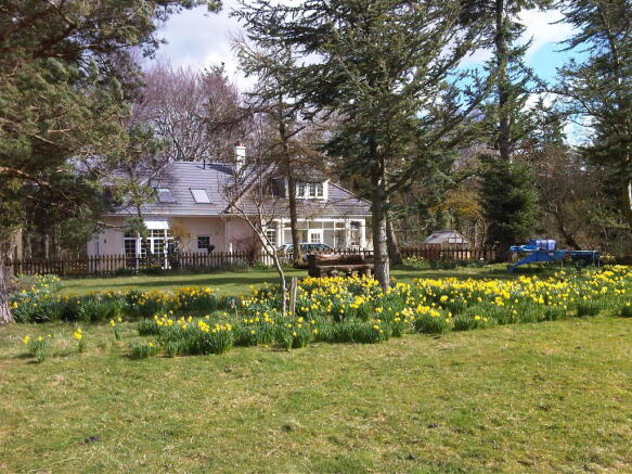 Photo 11