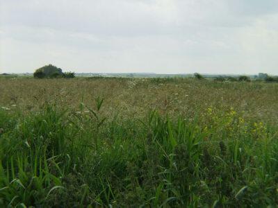 Outside picture 3