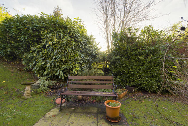 Patio Area