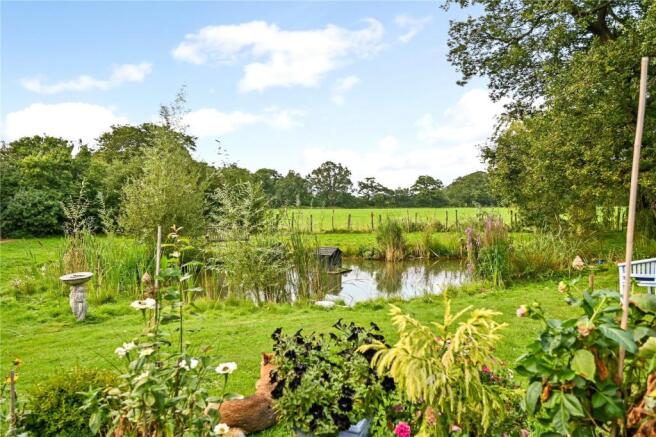 Pond