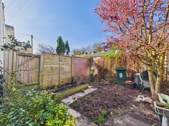 Garden with blossom tree