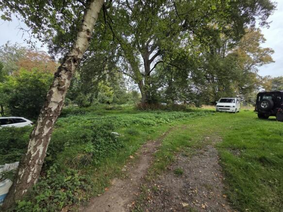 20251001_103516.jpgRW