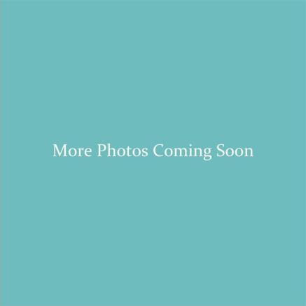 More Photos Coming Soon-page-001.jpg