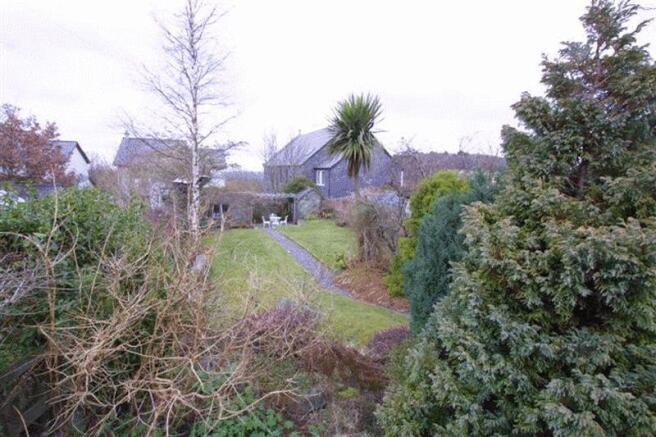 Back Garden 2
