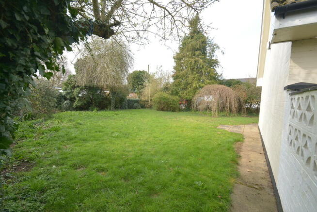 DSC_1000