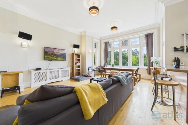 Kitchen / Dining / Living Area