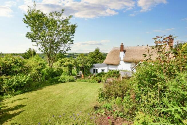 Rear gardens