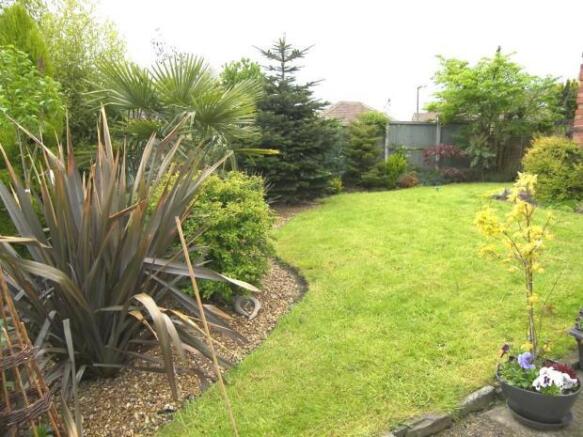 Garden Shot 2