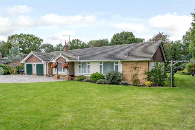 Picture No. 38