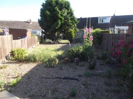 Garden (3)