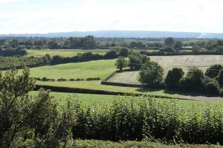 Surrounding Views