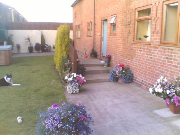 Image 4