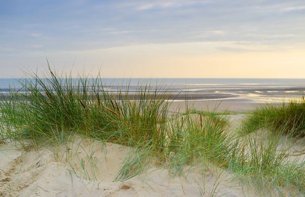Camber dunes