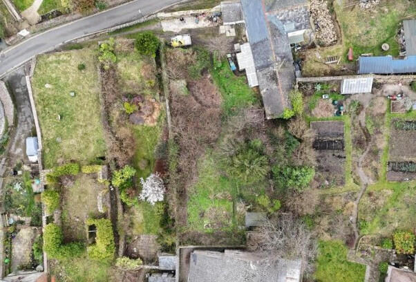 Garden T202609171757.jpg