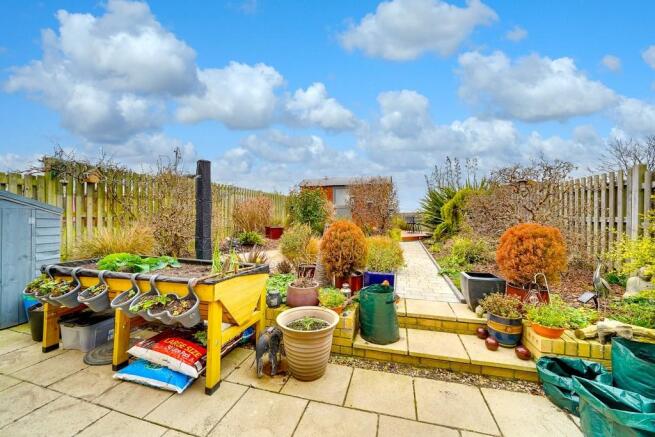Back Garden