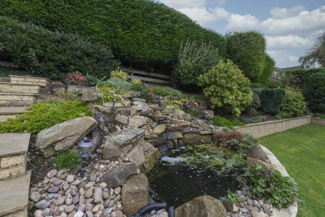 Pond