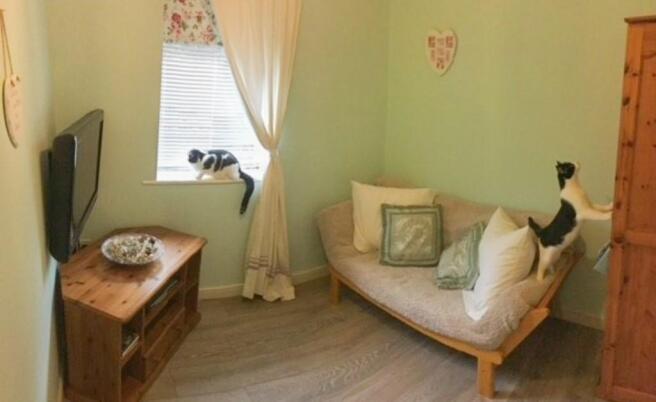 Photo 6