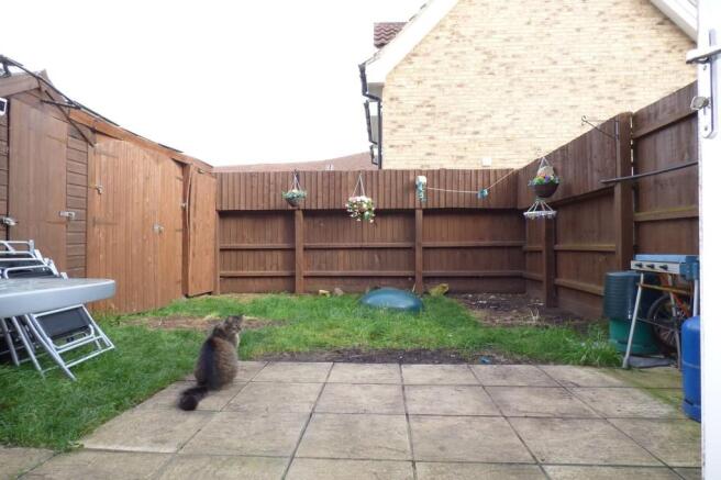 Photo 11