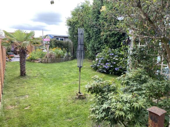 garden 1.jpeg