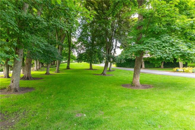 Communal Grounds