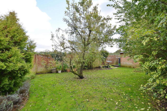 Photo 15