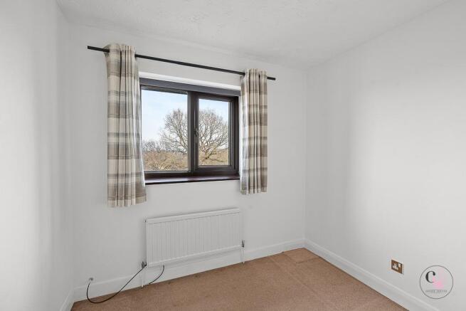 DSC00908.jpg