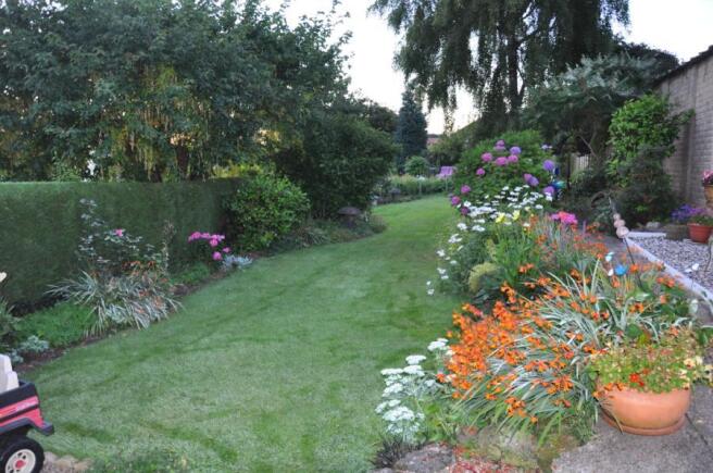 Summer Garden