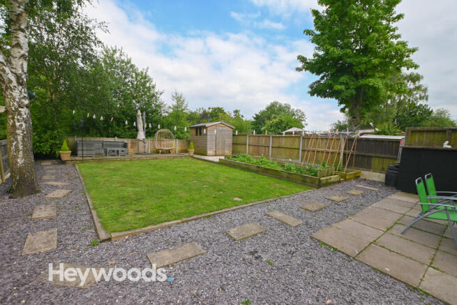 DSC_7362