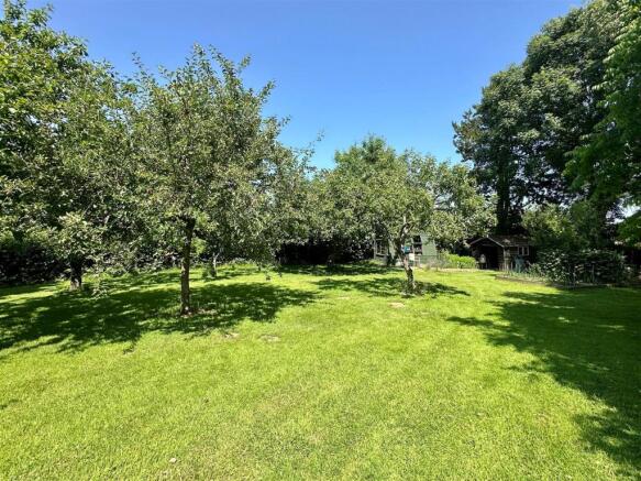 Orchard