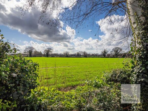 Field Views