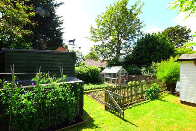Vegetable Patch