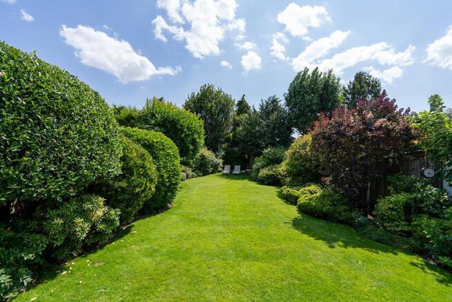 GARDEN.jpg