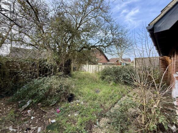 IMG 1085 T202602231616.jpg