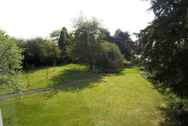 Grounds