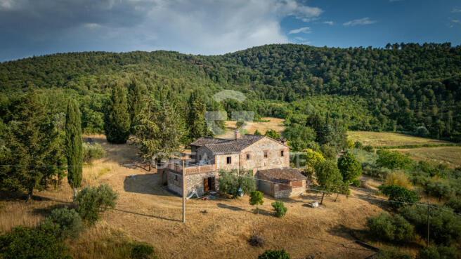 Esterno