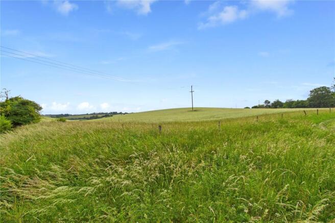 Field View