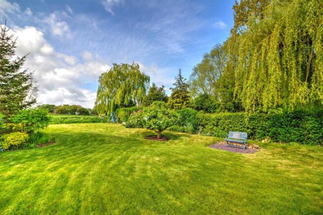 Garden 3.jpg
