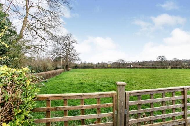 Rear View