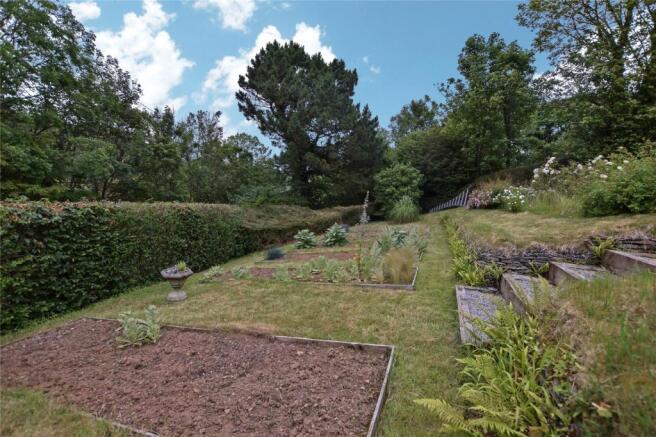 Veg Patches