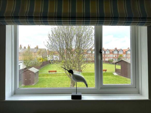 'view from the