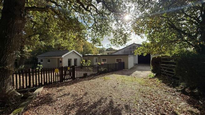 2520948_web_medium (1).jpg