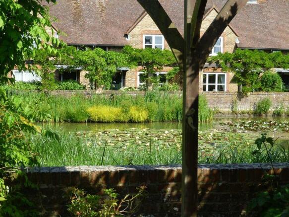 The Pond