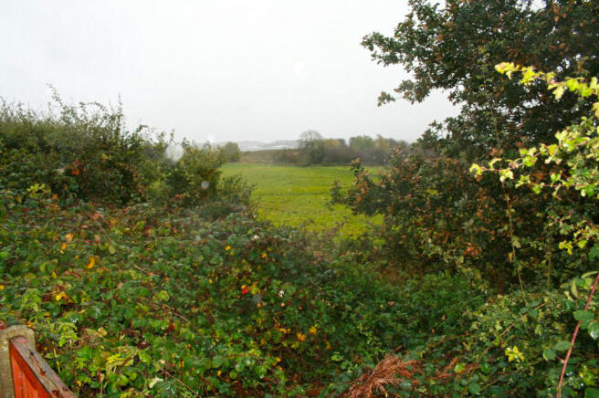 Extra image 12