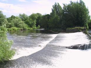 Darley Abbey River