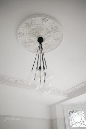 Augusta ceiling rose