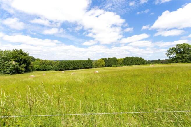 Fields To Front