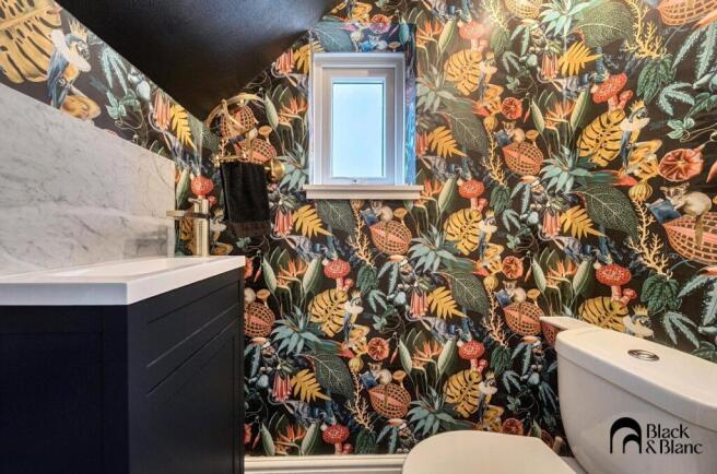 Downstairs Toliet